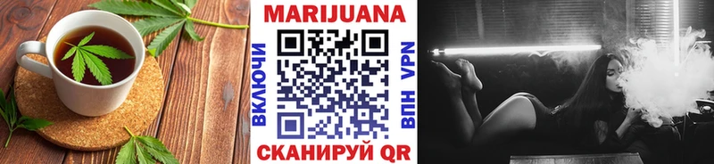 Купить где  Котельнич  Canna-Cookies конопля 